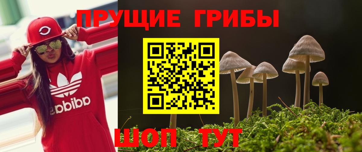 Псилоцибиновые грибы прущие грибы  Вход с VPN  Медногорск 